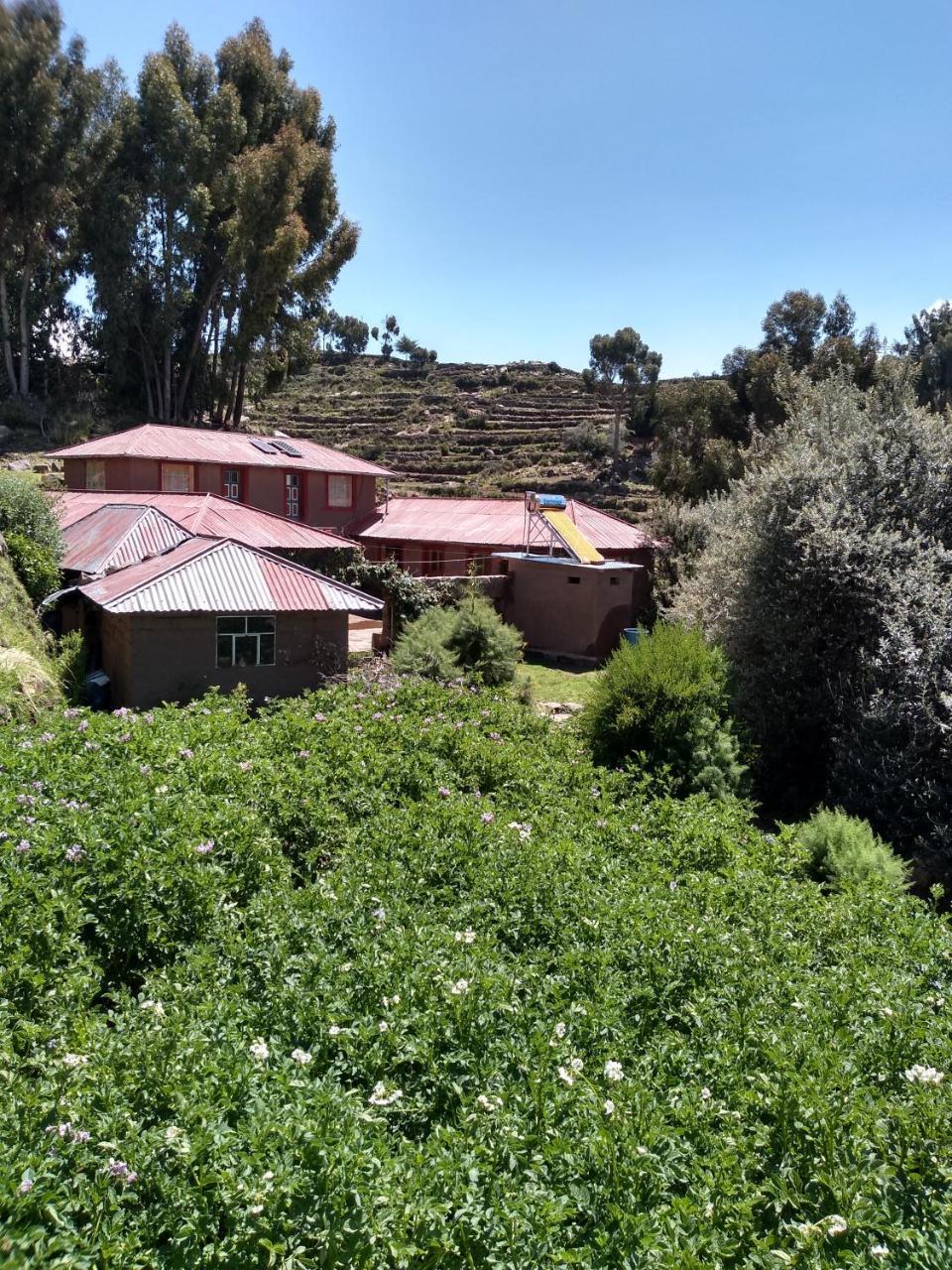 Taquile Familia Celso Hotel Huillanopampa Buitenkant foto